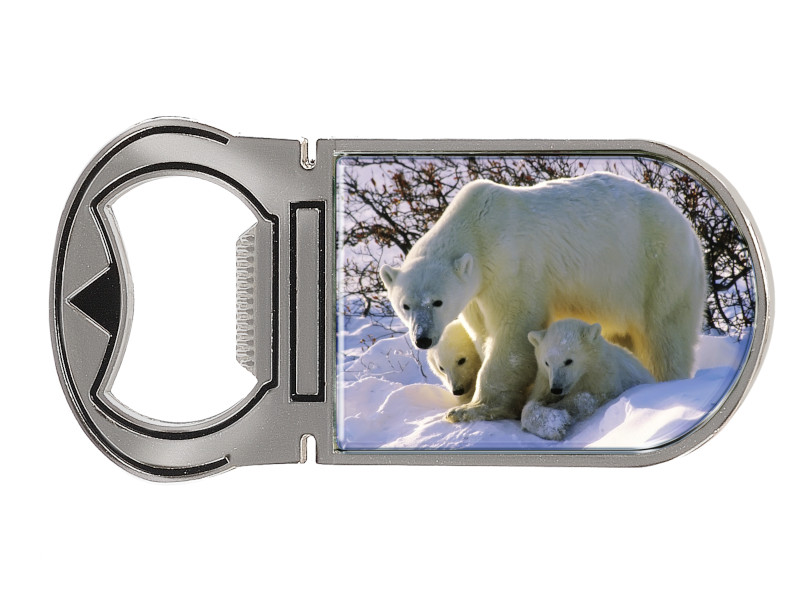 16719 Metall Magnet Kapselheber Eisbär