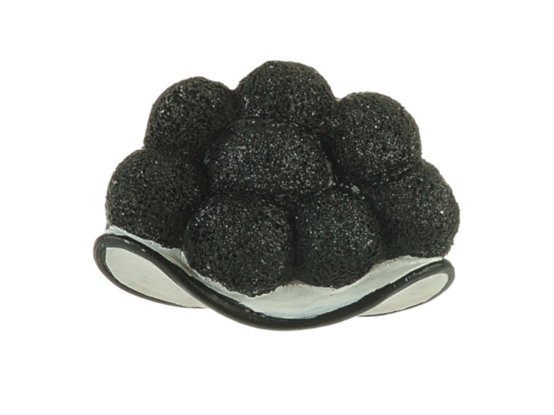 17612 Poly Magnet Bollenhut