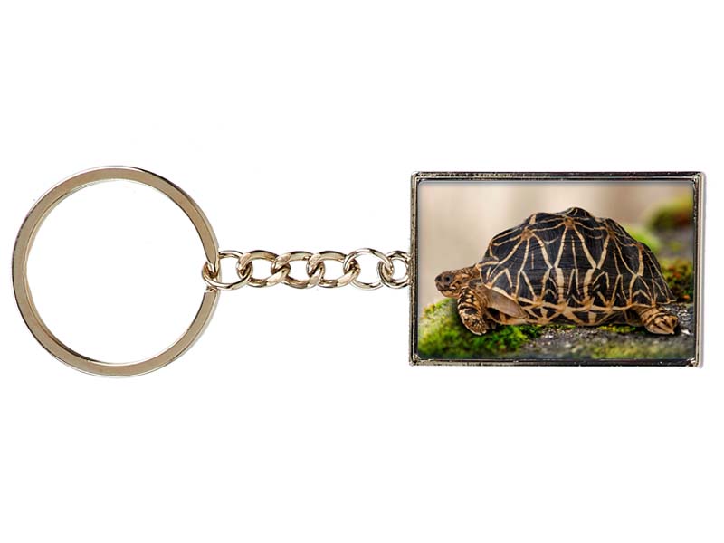 Metall Schlüsselanhänger Schildkröte
