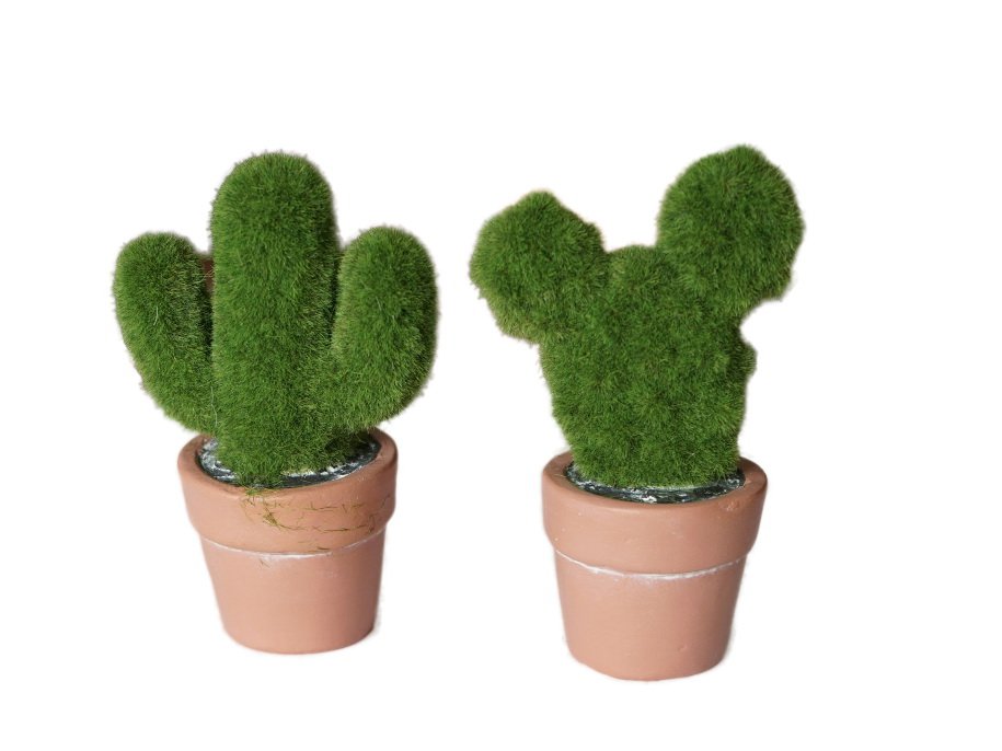 15794 Keramik Kaktus Moosdesign