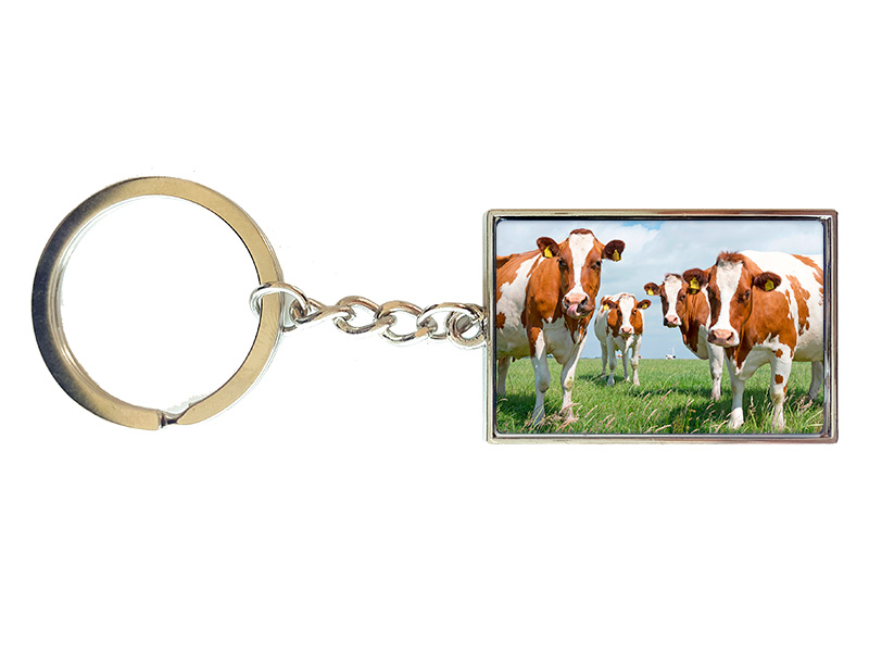 Metall Schlüsselanhänger Kühe