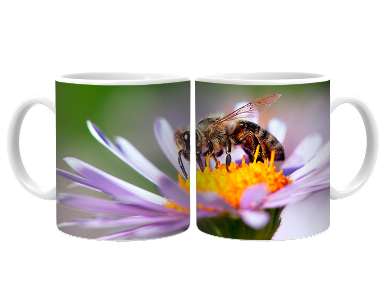 19040 Keramik  Foto Tasse Biene