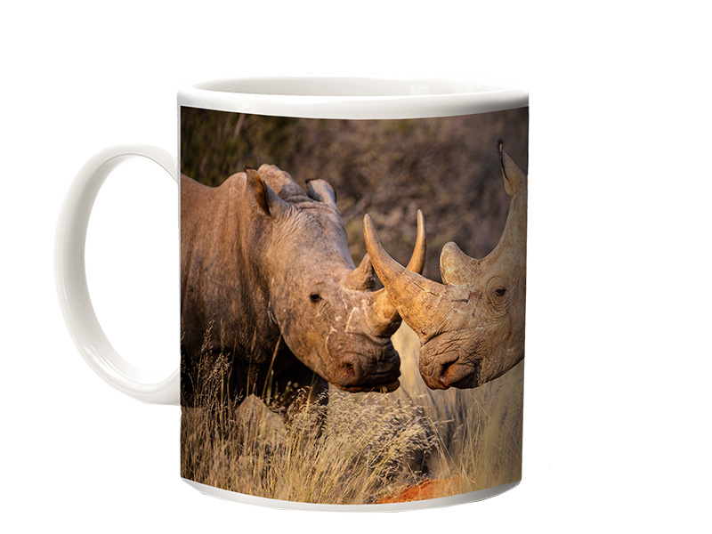 16864-0 Foto Keramik Tasse Nashorn