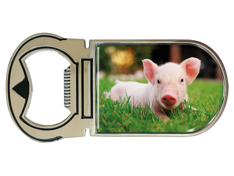 19033 Metall Magnet Kapselheber Ferkel