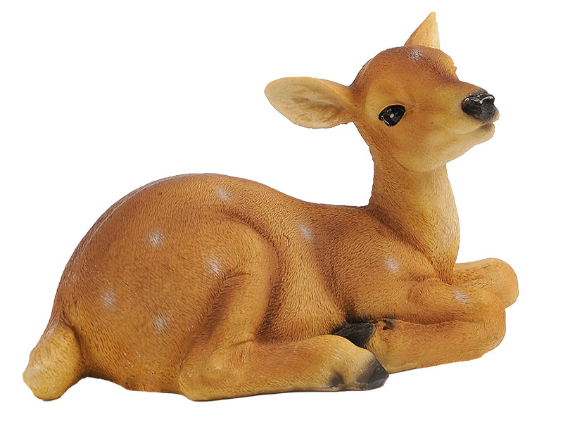 17456 Poly Rehkitz liegend