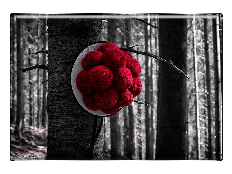 19122 Foto Magnet rechteckig Bollenhut