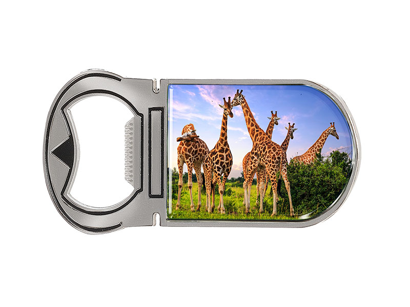 16857 Metall Magnet Kapselheber Giraffen