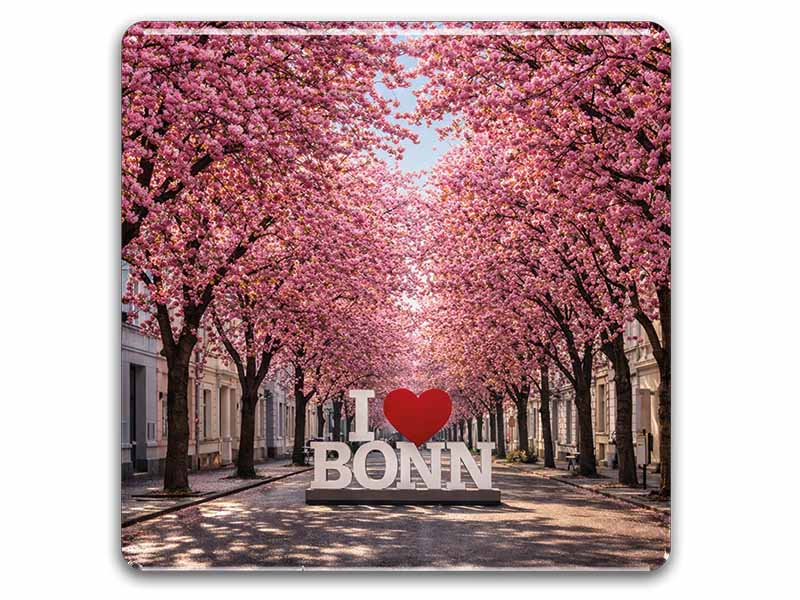Souvenir Foto Magnet Bonn 8x8cm