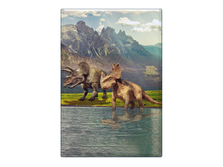 16872 Foto Magnet Dinosaurier
