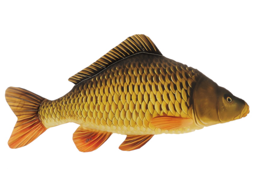 30403 Stoff Schuppenkarpfen