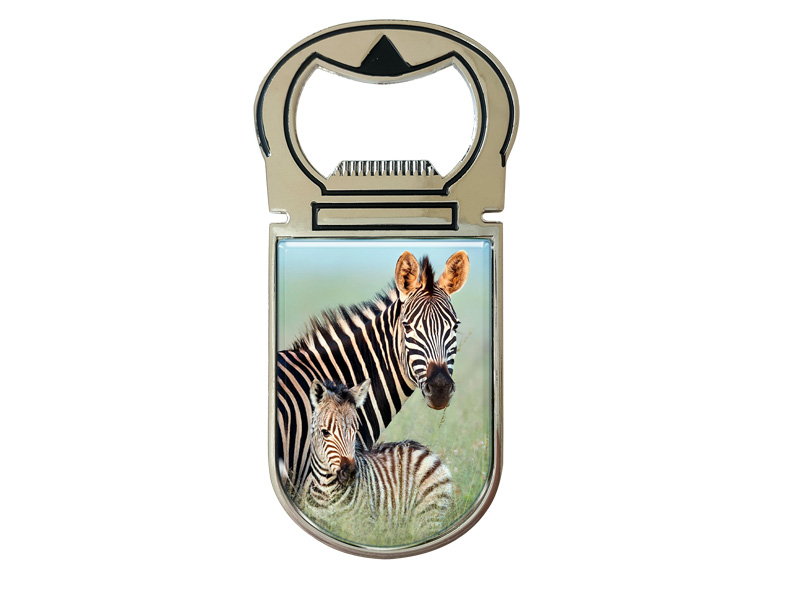 16943 Metall Magnet Kapselheber Zebra