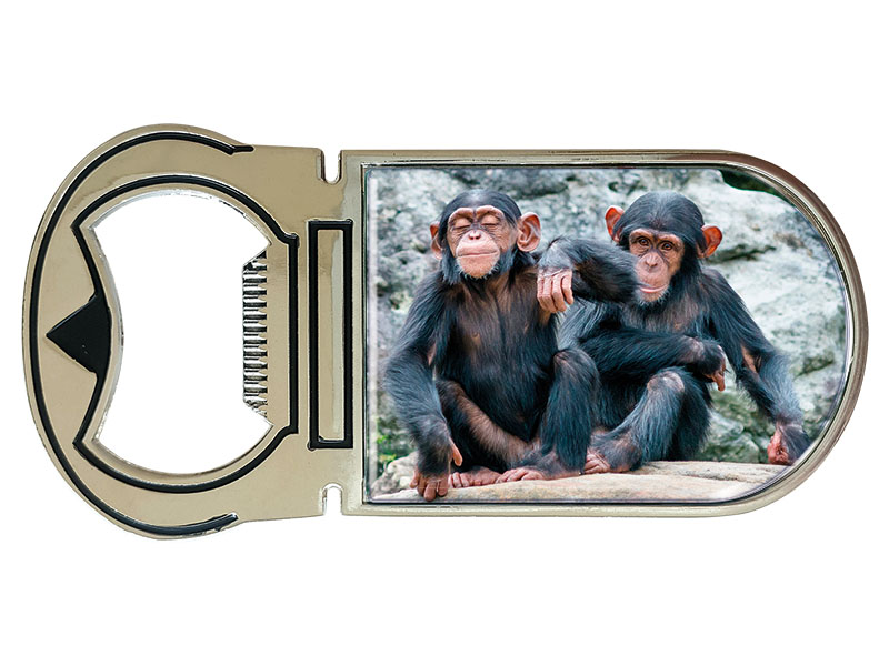 Metall Magnet Kapselheber Schimpansen