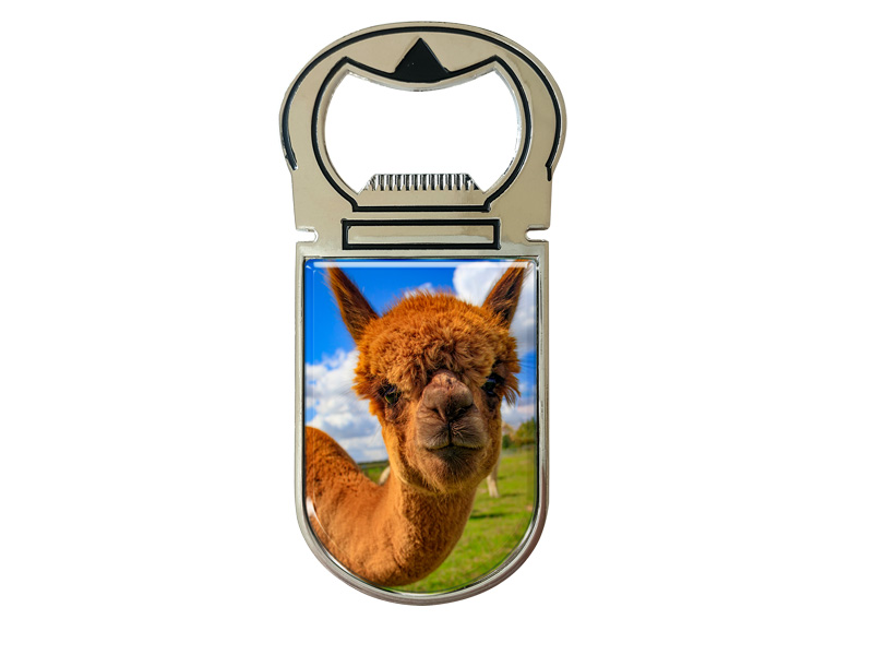 16949 Metall Magnet Kapselheber Alpaka