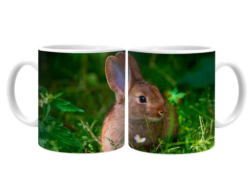 19030 Keramik Foto Tasse Hase