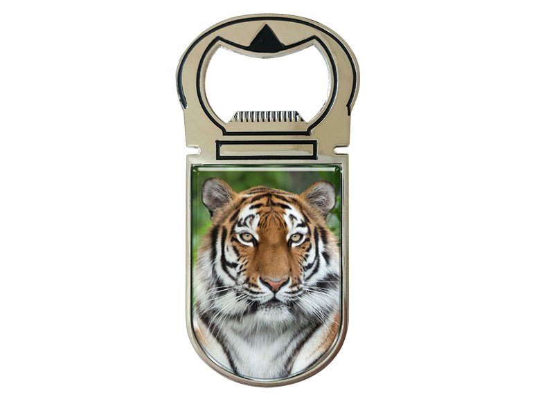 Metall Magnet Kapselheber Tiger