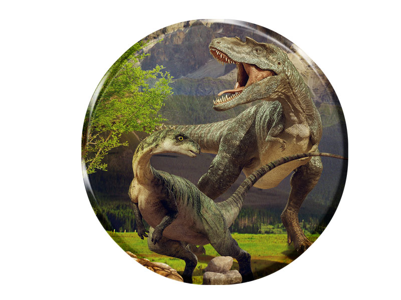 16883 Foto Magnet rund Dinosaurier