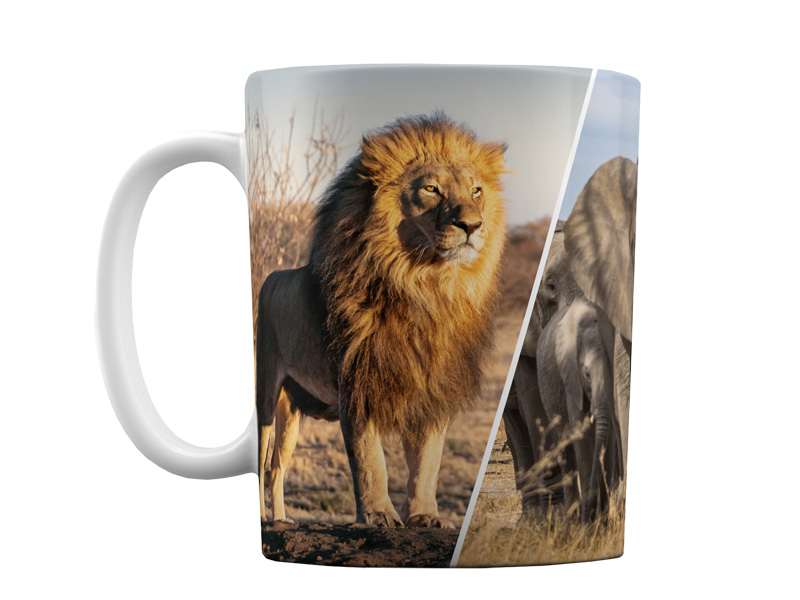 16867-0 Foto Keramik Tasse Zootiere