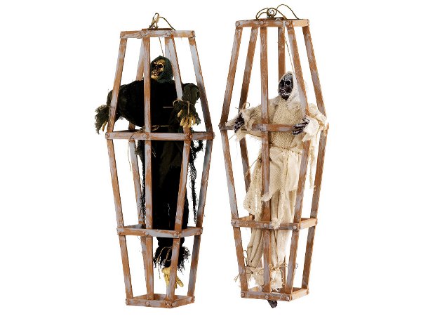 21752 Poly Geist im Holzkäfig