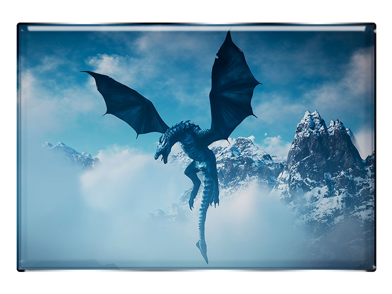 19117 Foto Magnet rechteckig Drache