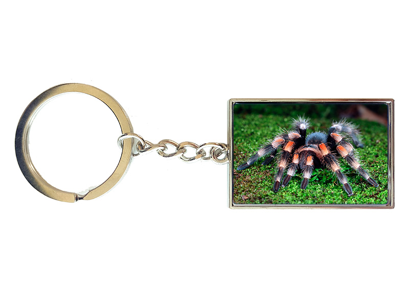 19094 Metall Schlüsselanhänger Vogelspinne