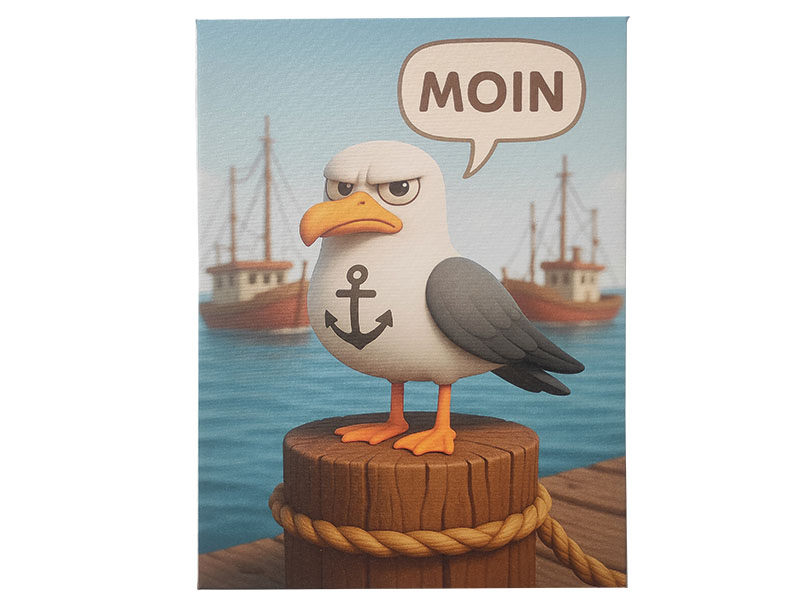 Leinwand Möwe 30x40cm   